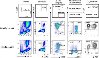 CD21– CD27– Atypical B Cells in a Pediatric Cohort Study: An Extensive Single Center Flow Cytometric Analysis